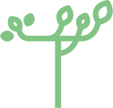 Tanglewood Tree Logo